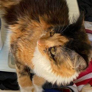 Meet your Posher, Jack